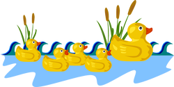 rubber ducks ganson