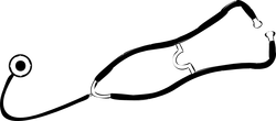 stetoscopio fonendoscopio