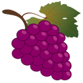 grape 01