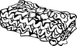lasagna bw