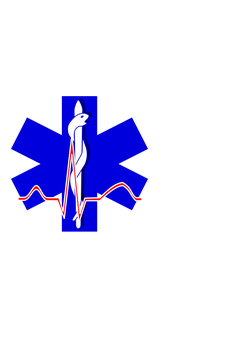 paramedic cross 01