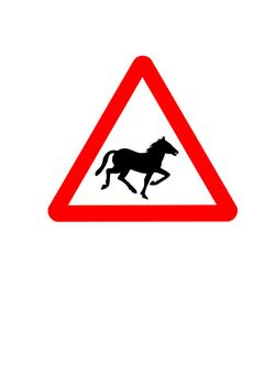 horse