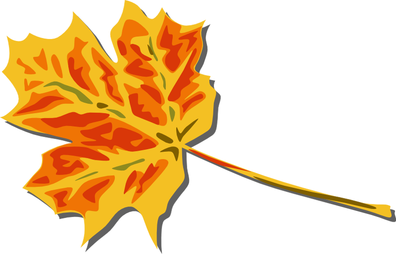 fall_coloured_leaf_geral_01.png