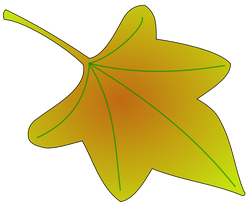leaf 01