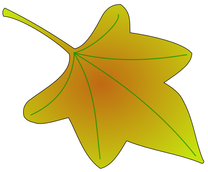 leaf 01