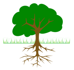 tree branches and roots 01