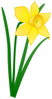 daffodil jonathan dietri 01