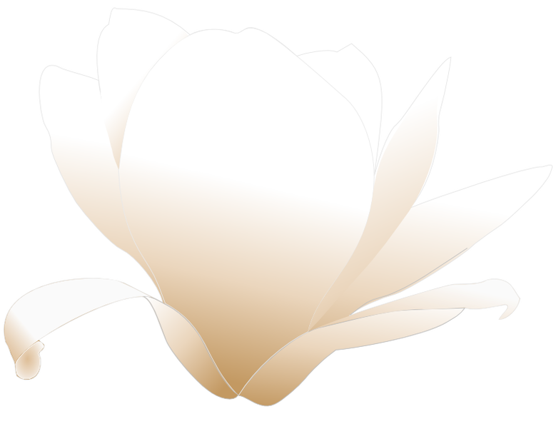 magnolia_white_patricia__01.png