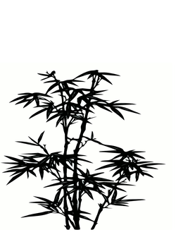 bamboo 01