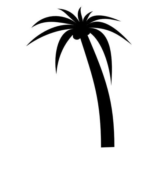 palmtree_b_r_kessels_.png