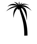 palmtree b r kessels 