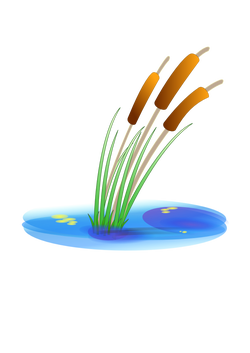 reed gmv 