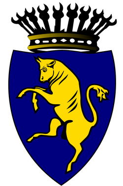 citt di torino 01