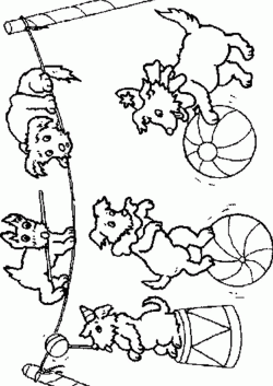 coloriages-cirque0042