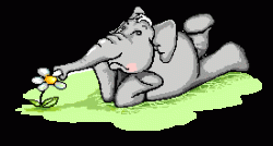 animaux867