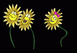 fleurcartoo