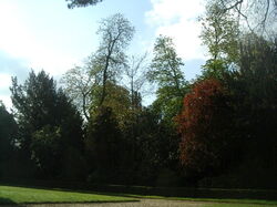 pldg-com-versailles0059