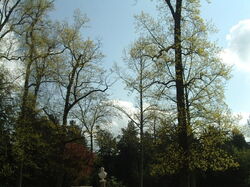 pldg-com-versailles0061