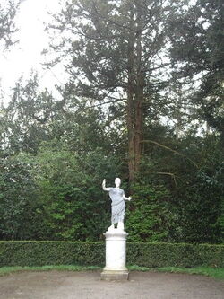 pldg-com-versailles0063