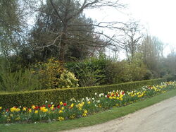 pldg-com-versailles0067