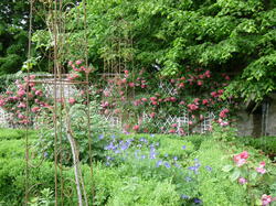 fleurs 44152199702 o