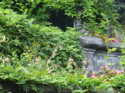 fleurs 44199882021 o