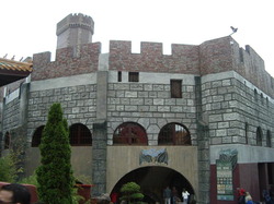 IMGP3314
