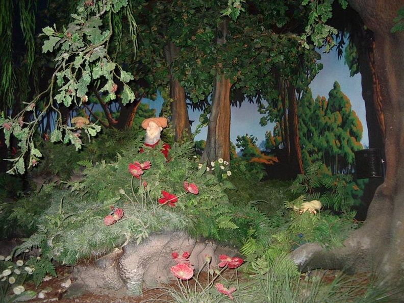 IMGP4434.jpg
