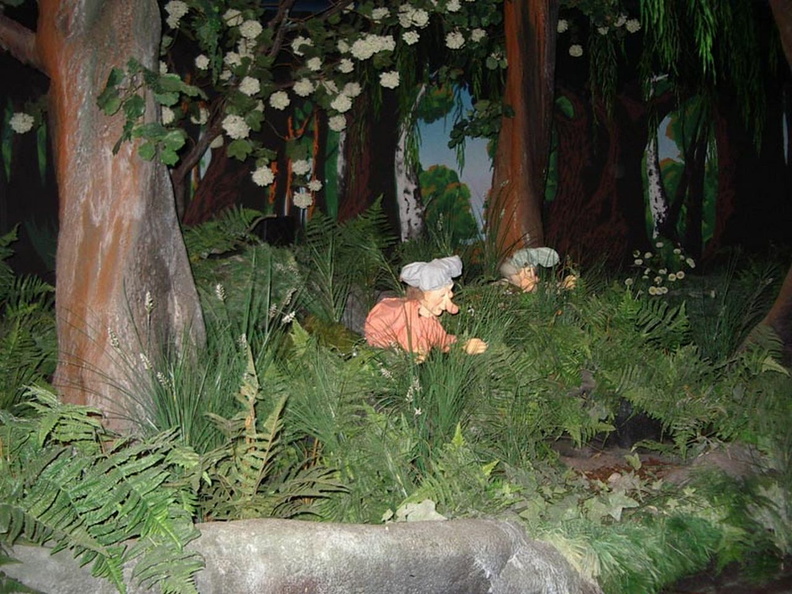 IMGP4436.jpg