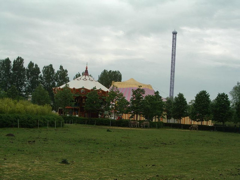 IMGP4517.jpg