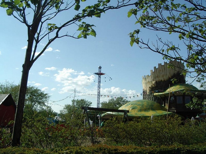 IMGP4589.jpg