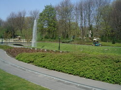 IMGP2278