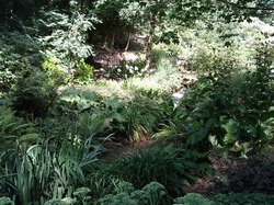 jardin1