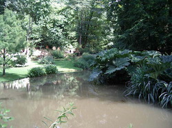 jardin2