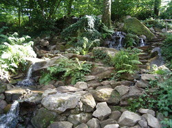 jardin3