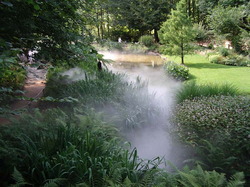 jardin4