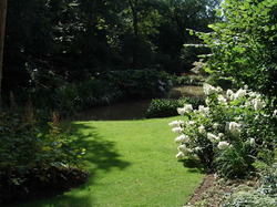 jardin5
