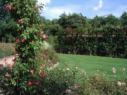 jardin6