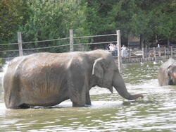 bain-des-lphants 44122769154 o