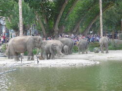bain-des-lphants 44122928154 o