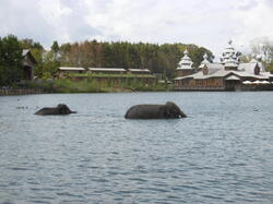 bain-des-lphants 44793899922 o