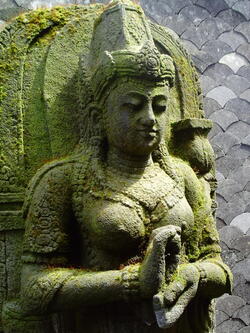 ganesha0096 44844623071 o