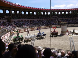 p1000543 44191904161 o