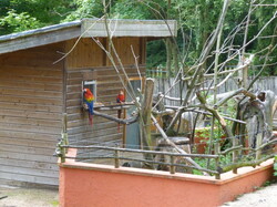 P1040237