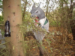 IMGP4219