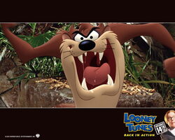 LooneyToons9 1280