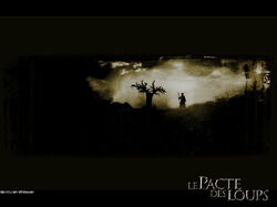 movie109 800