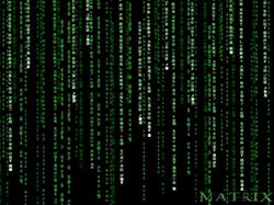 movie128 800