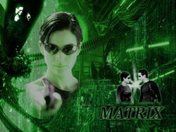 movie129 800