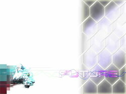 design116 800